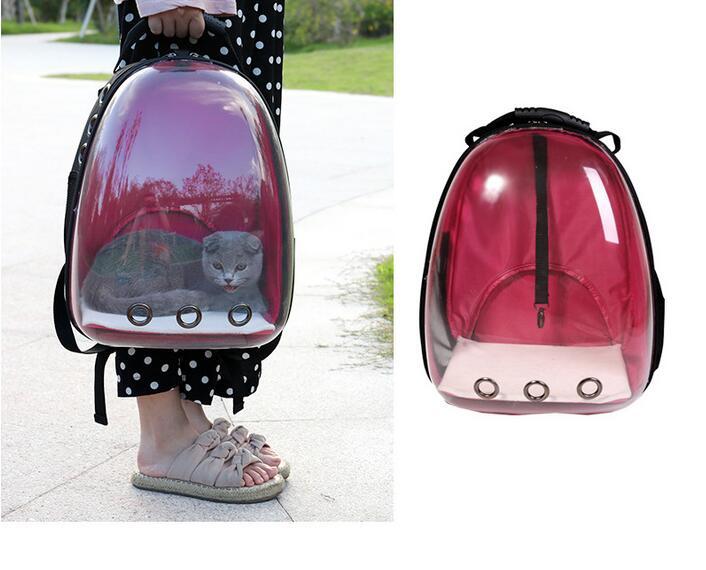 Transparent Pet Backpack - Carol Carez