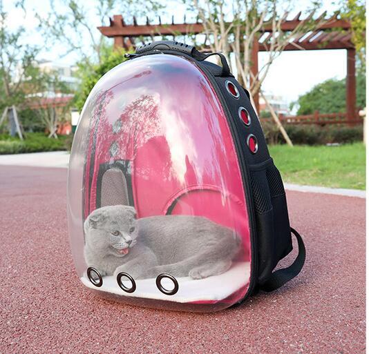 Transparent Pet Backpack - Carol Carez
