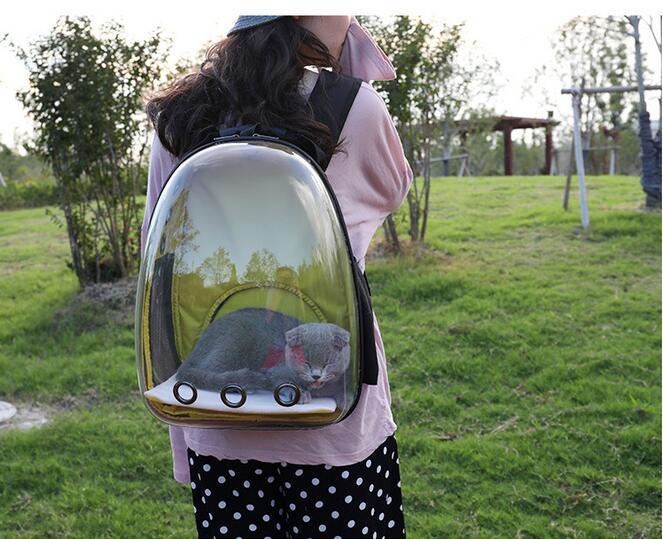 Transparent Pet Backpack - Carol Carez