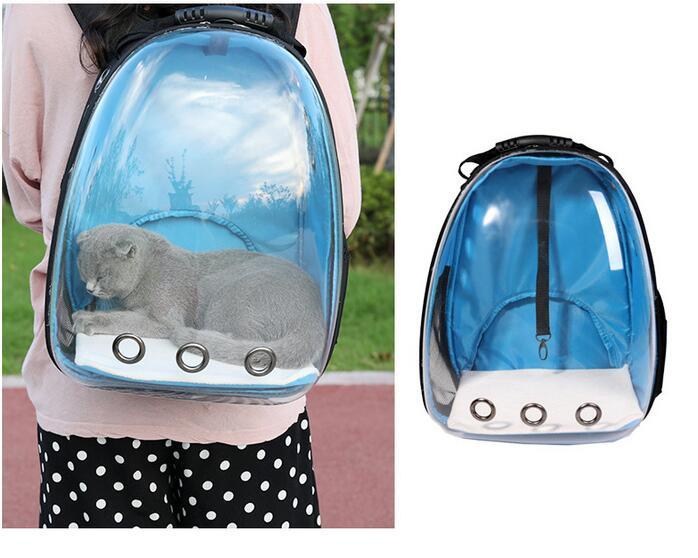 Transparent Pet Backpack - Carol Carez