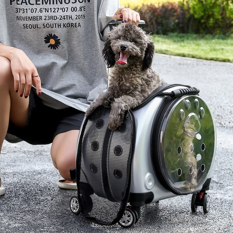 Small Portable Pet Trolley Bag - Carol Carez